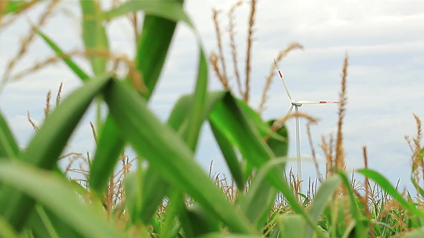 windmill in a field